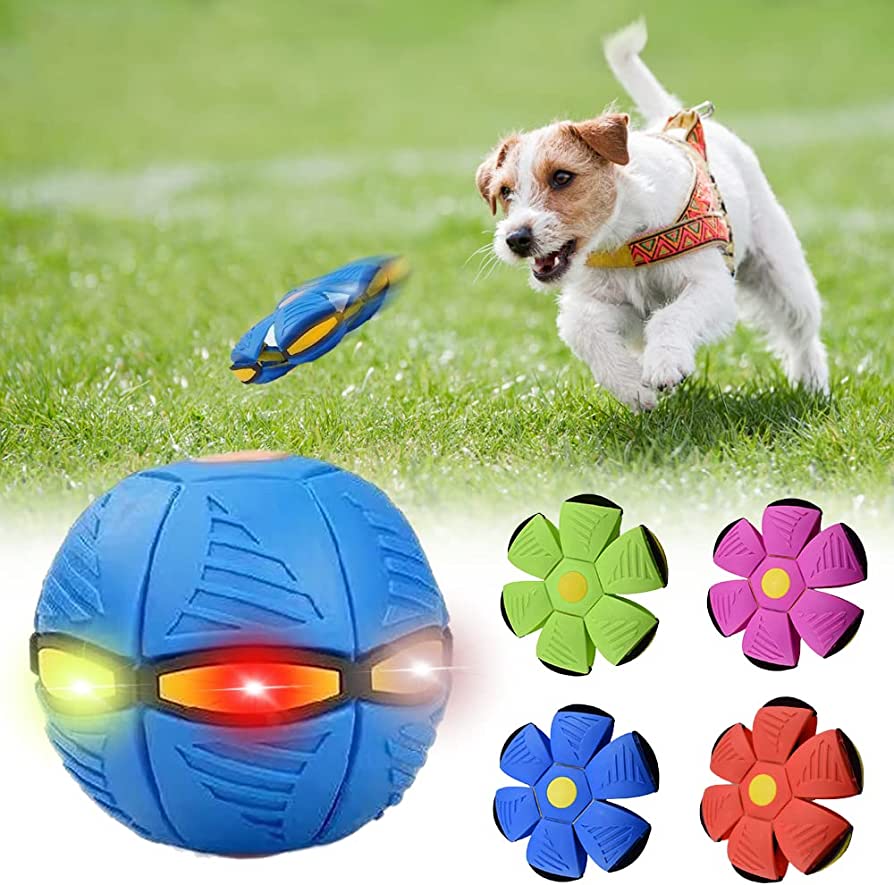 Pet Central™ Dog Frisbee