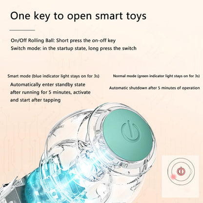 Pet Central™  Interactive Ball