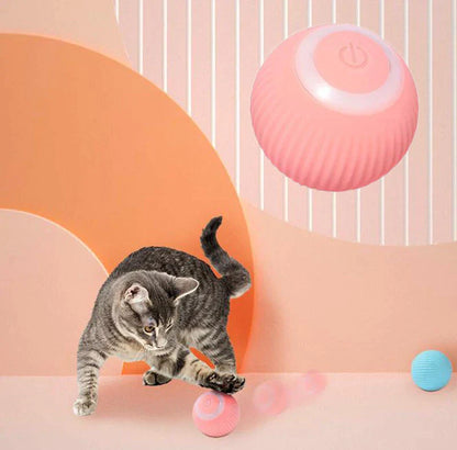 Pet Central™  Interactive Ball