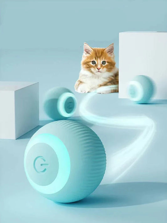 Pet Central™  Interactive Ball