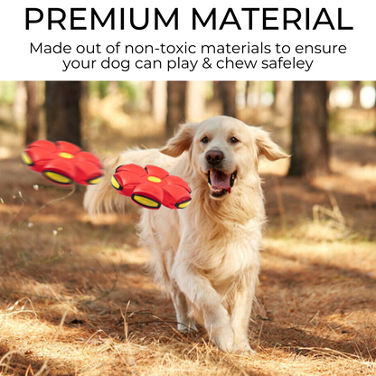 Pet Central™ Dog Frisbee