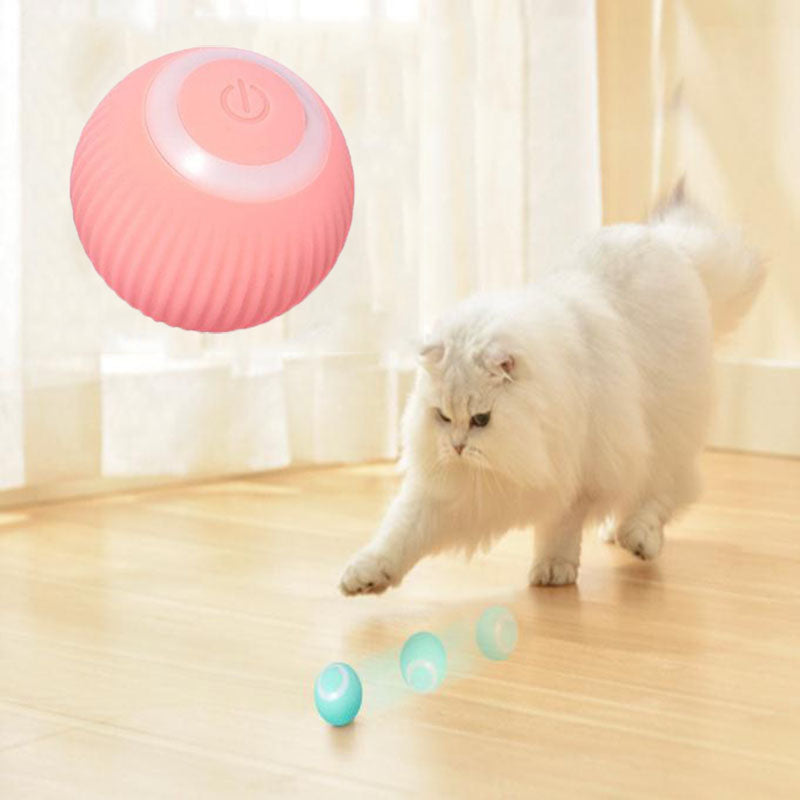 Pet Central™  Interactive Ball