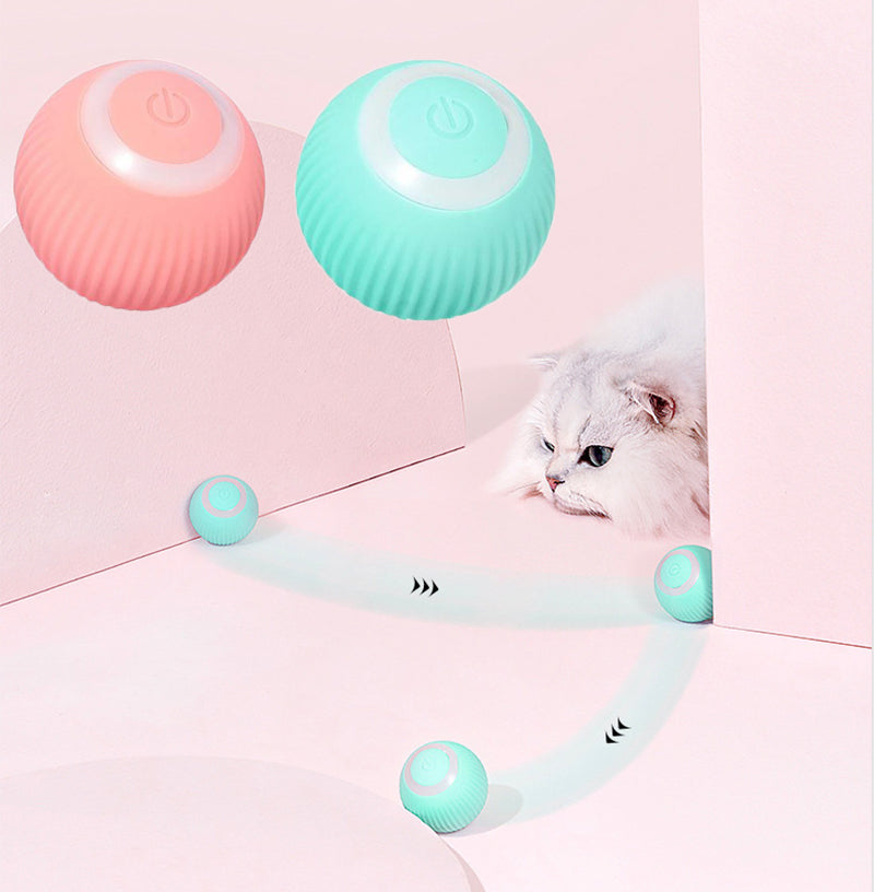 Pet Central™  Interactive Ball
